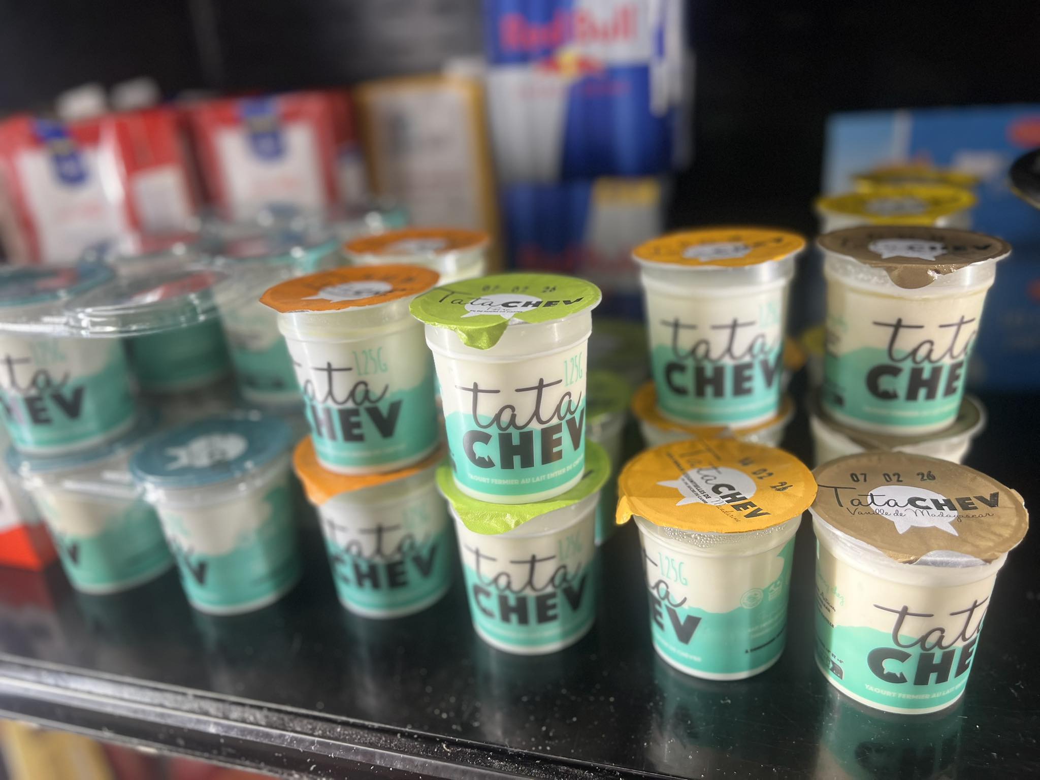 Yaourts Tata Chev en pots de différentes saveurs dans le frigo
